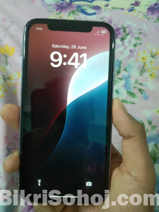 iPhone 11 256 GB